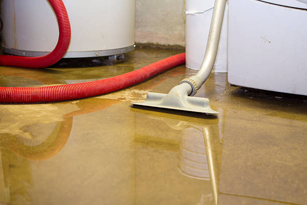 Best Sewage Cleanup and Restoration in Tiburon, CA