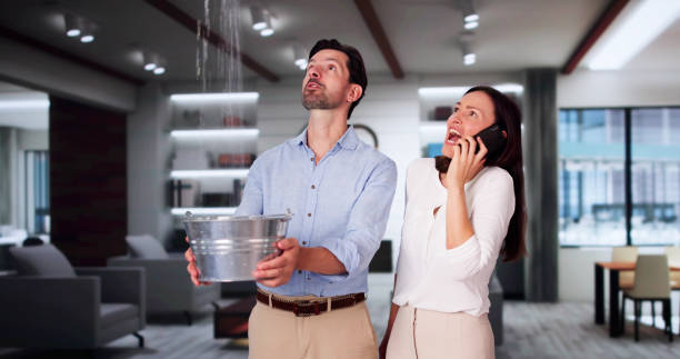  Tiburon, CA Water damage restoration Pros